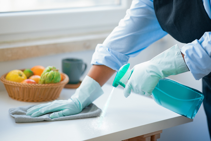 Housekeeping Services-Rohtak Properties