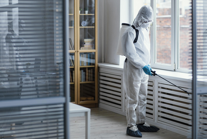 Pest Control Services-Rohtak Properties