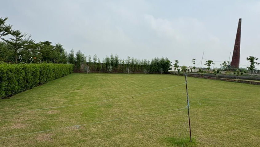 Residential Plot for Sale